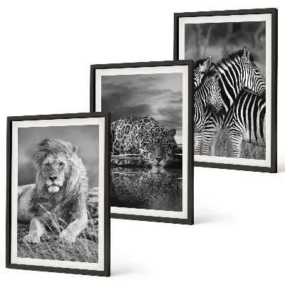 Wildtiere der Savanne 3er-Set Bilder mit Rahmen