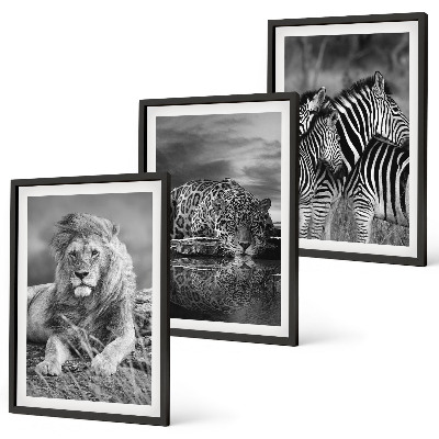 Bilder-3er-set mit rahmen Wildtiere der Savanne
