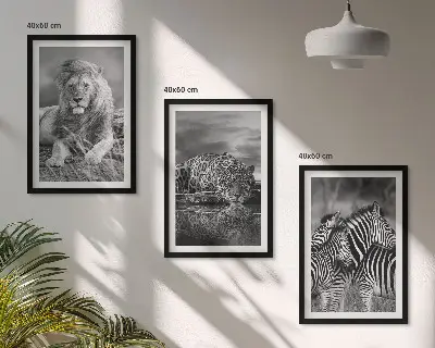 Wildtiere der Savanne 3er-Set Bilder mit Rahmen