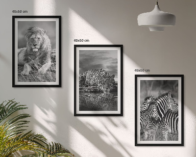 Bilder-3er-set mit rahmen Wildtiere der Savanne