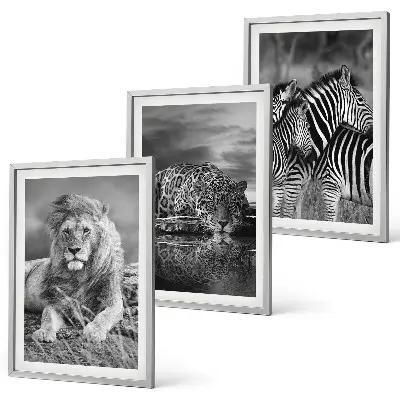 Wildtiere der Savanne 3er-Set Bilder mit Rahmen