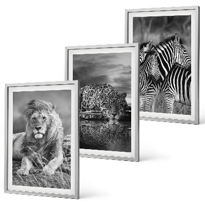 Bilder-3er-set mit rahmen Wildtiere der Savanne