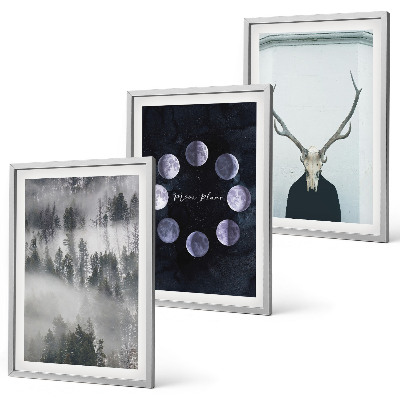 Bilder-3er-set mit rahmen Waldlandschaft, Nebel, Mond, Hirschschädel
