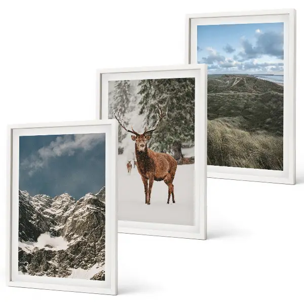 Gerahmtes Bilderset mit Bergen, Schnee, Hirschen und Waldlandschaft