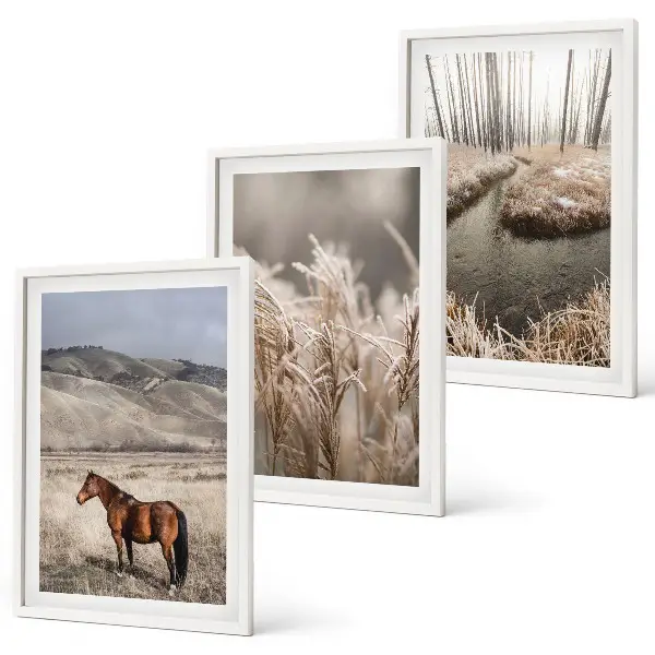 3er-Set Bilder mit Rahmen Motiv Pferde, Landschaft, Gras und Bach