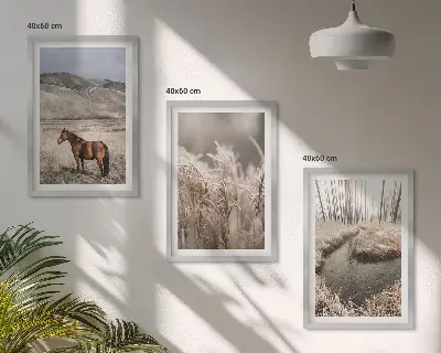 3er-Set Bilder mit Rahmen Motiv Pferde, Landschaft, Gras und Bach