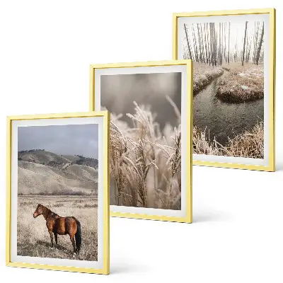 3er-Set Bilder mit Rahmen Motiv Pferde, Landschaft, Gras und Bach