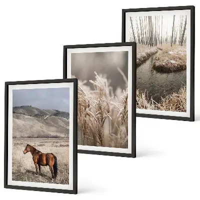 3er-Set Bilder mit Rahmen Motiv Pferde, Landschaft, Gras und Bach
