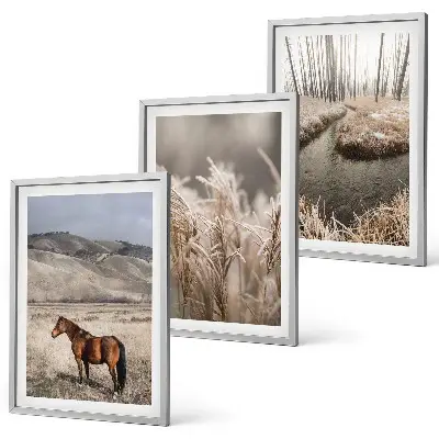 3er-Set Bilder mit Rahmen Motiv Pferde, Landschaft, Gras und Bach