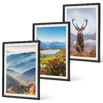 Gerahmtes bilderset Natur des Bergseehirsches
