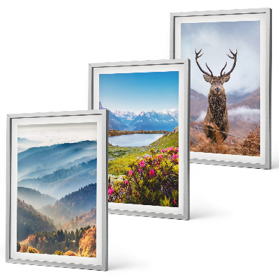 Gerahmtes bilderset Natur des Bergseehirsches