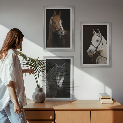 Gerahmtes bilderset Porträts von Pferden in verschiedenen Fellfarben