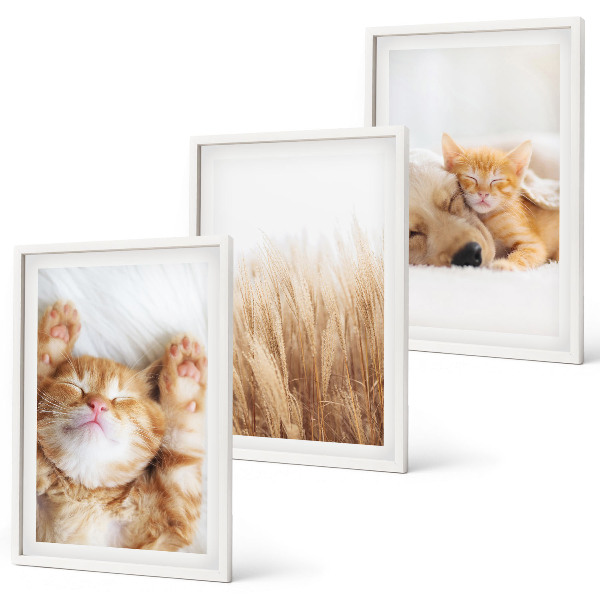 Gerahmtes bilderset Niedliche Tiere, Katzen, Hunde, Boho-Stil