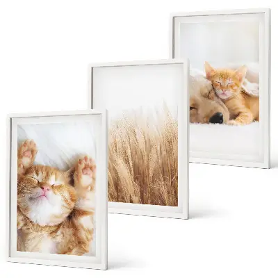 Gerahmtes Bilderset niedliche Tiere mit Katzen und Hunden im Boho-Stil