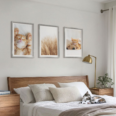 Gerahmtes bilderset Niedliche Tiere, Katzen, Hunde, Boho-Stil