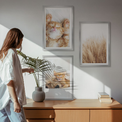 Gerahmtes bilderset Niedliche Tiere, Katzen, Hunde, Boho-Stil