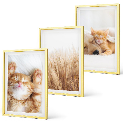 Gerahmtes bilderset Niedliche Tiere, Katzen, Hunde, Boho-Stil
