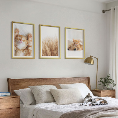 Gerahmtes bilderset Niedliche Tiere, Katzen, Hunde, Boho-Stil