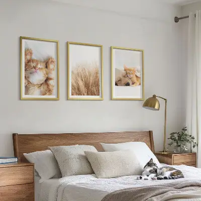 Gerahmtes Bilderset niedliche Tiere mit Katzen und Hunden im Boho-Stil