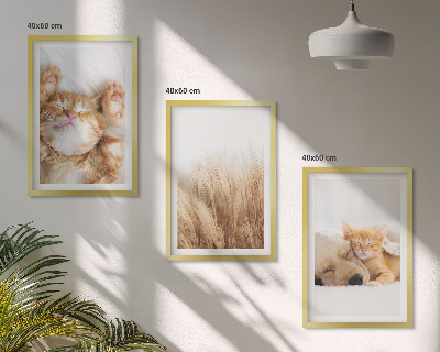 Gerahmtes bilderset Niedliche Tiere, Katzen, Hunde, Boho-Stil