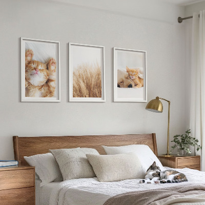 Gerahmtes bilderset Niedliche Tiere, Katzen, Hunde, Boho-Stil