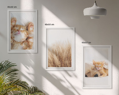 Gerahmtes bilderset Niedliche Tiere, Katzen, Hunde, Boho-Stil