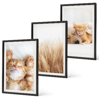 Gerahmtes bilderset Niedliche Tiere, Katzen, Hunde, Boho-Stil