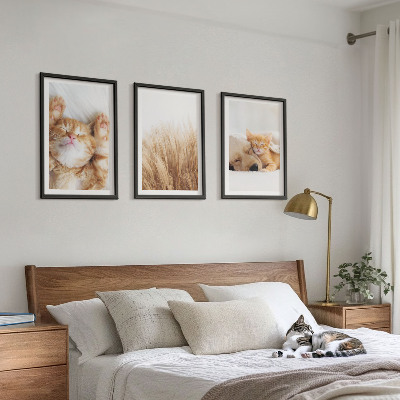 Gerahmtes bilderset Niedliche Tiere, Katzen, Hunde, Boho-Stil