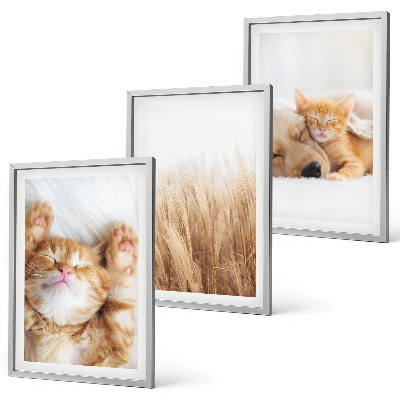 Gerahmtes bilderset Niedliche Tiere, Katzen, Hunde, Boho-Stil