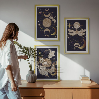 Bilder-3er-set mit rahmen Naturmotive Mondblumen