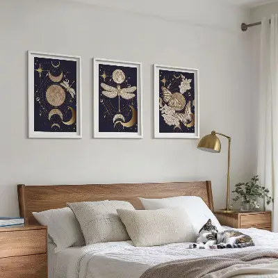 Naturmotive Mondblumen 3er Set mit Rahmen