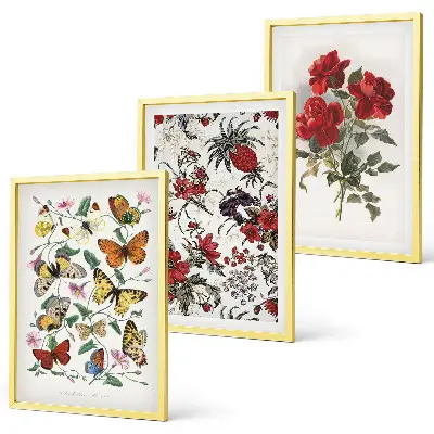 Gerahmtes Bilderset Schmetterlinge mit Blumen und roten Rosen
