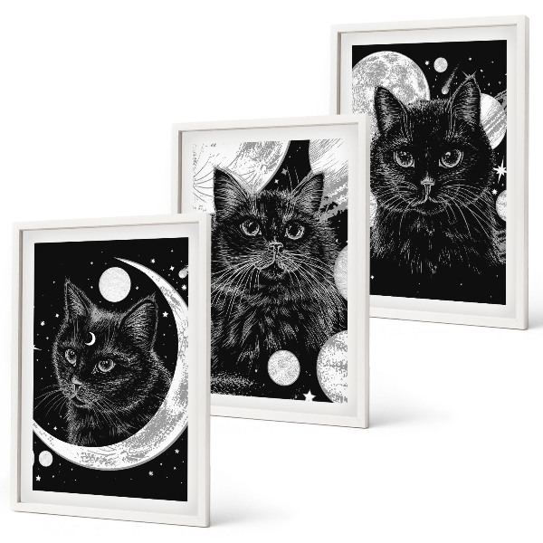 Bilder-3er-set mit rahmen Schwarze Katzen, Mond, Weltraum