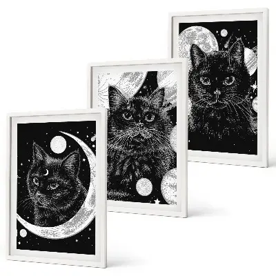 Bilder-Set, 3-teilig mit Rahmen schwarze Katzen im Weltraum mit Mondmotiv