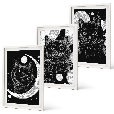 Bilder-3er-set mit rahmen Schwarze Katzen, Mond, Weltraum