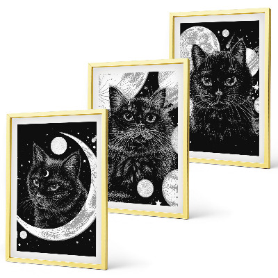 Bilder-3er-set mit rahmen Schwarze Katzen, Mond, Weltraum