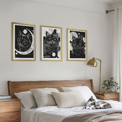 Bilder-3er-set mit rahmen Schwarze Katzen, Mond, Weltraum