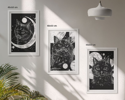 Bilder-3er-set mit rahmen Schwarze Katzen, Mond, Weltraum