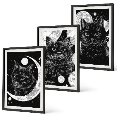 Bilder-3er-set mit rahmen Schwarze Katzen, Mond, Weltraum