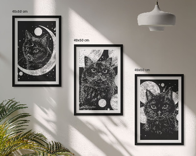 Bilder-3er-set mit rahmen Schwarze Katzen, Mond, Weltraum