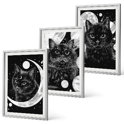 Bilder-3er-set mit rahmen Schwarze Katzen, Mond, Weltraum