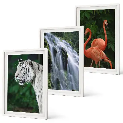 3er-Set Bilder mit Rahmen mit Motiven von Tiger, Wasserfall und Flamingos in der Natur