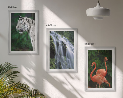 Bilder-3er-set mit rahmen Tiger Wasserfall Flamingos Natur