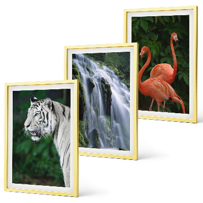 Bilder-3er-set mit rahmen Tiger Wasserfall Flamingos Natur
