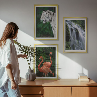 Bilder-3er-set mit rahmen Tiger Wasserfall Flamingos Natur