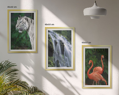 Bilder-3er-set mit rahmen Tiger Wasserfall Flamingos Natur