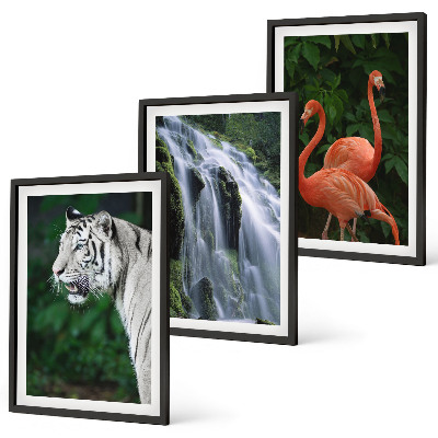 Bilder-3er-set mit rahmen Tiger Wasserfall Flamingos Natur
