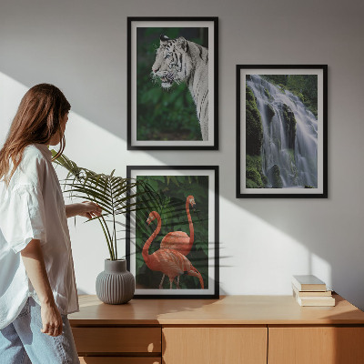 Bilder-3er-set mit rahmen Tiger Wasserfall Flamingos Natur