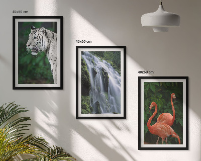 Bilder-3er-set mit rahmen Tiger Wasserfall Flamingos Natur