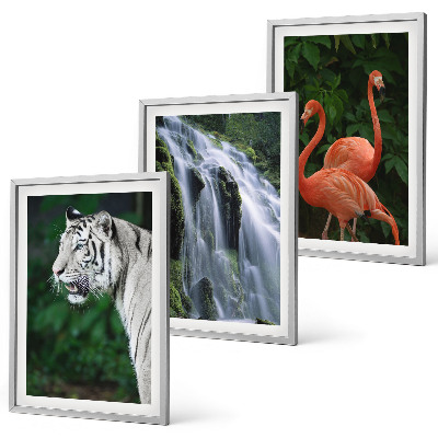 Bilder-3er-set mit rahmen Tiger Wasserfall Flamingos Natur